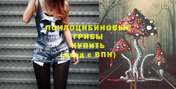 шишки Балахна