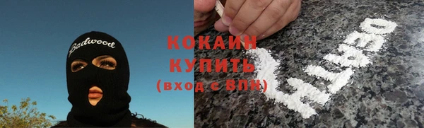 шишки Балахна