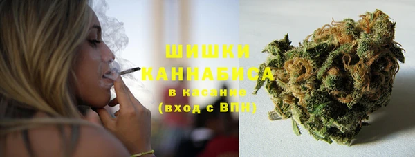 шишки Балахна