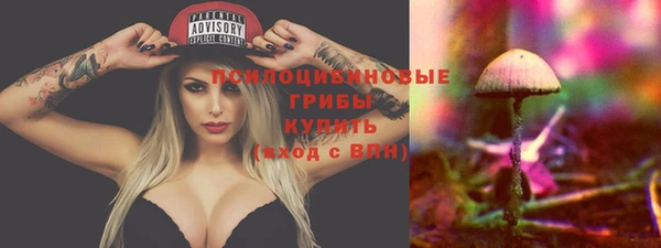 молекула духа Балабаново