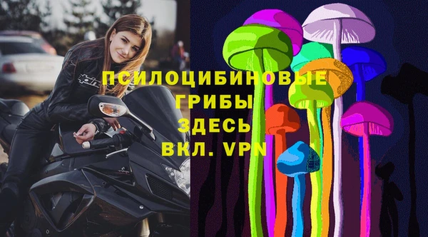 PSILOCYBIN Баксан