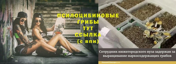 молекула духа Балабаново