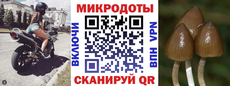 Псилоцибиновые грибы мухоморы  где найти   Унеча 